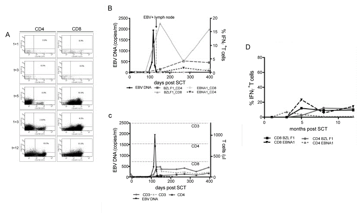 Lymphoproliferative
