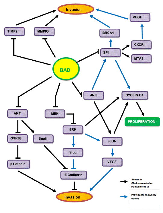 regulation