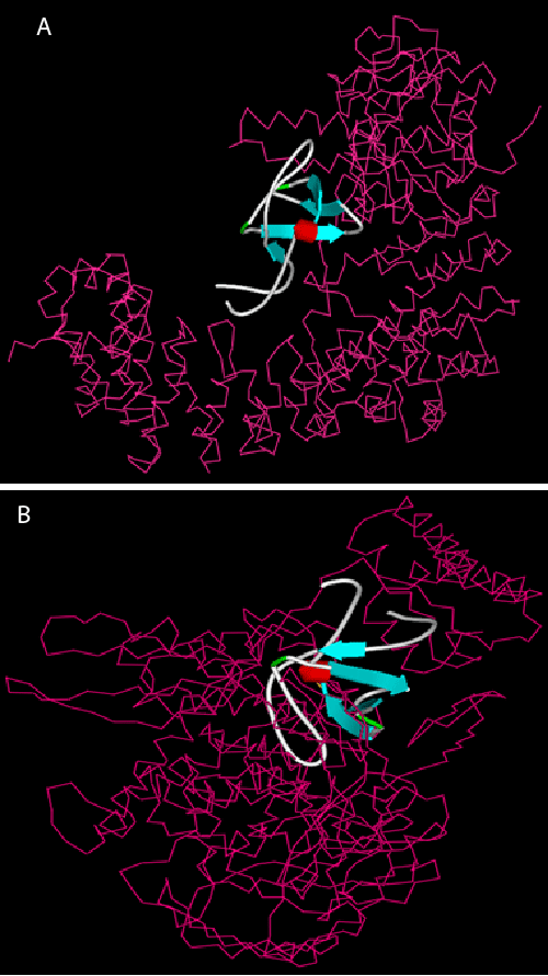Visualization