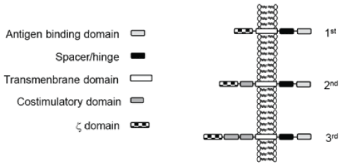 antigen