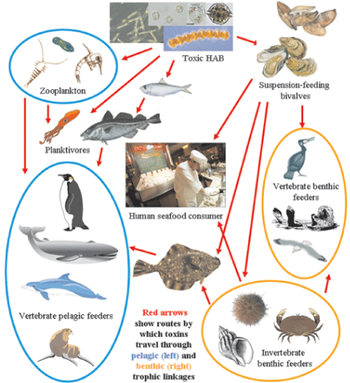 Biotoxins