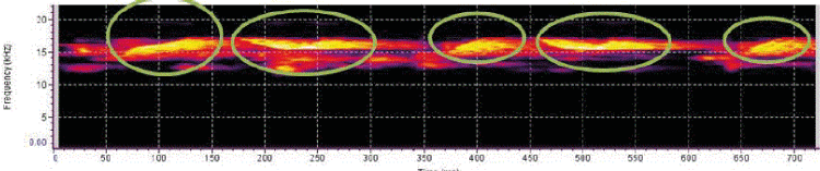 Spectogram