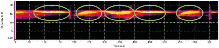 Spectogram