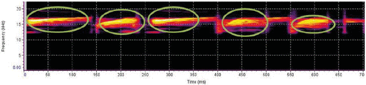 Spectogram