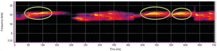 Spectogram 