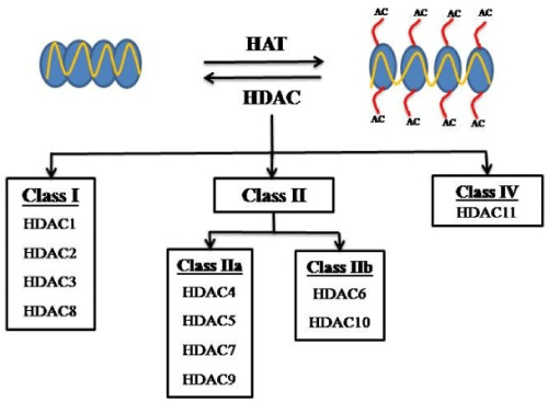 isoforms