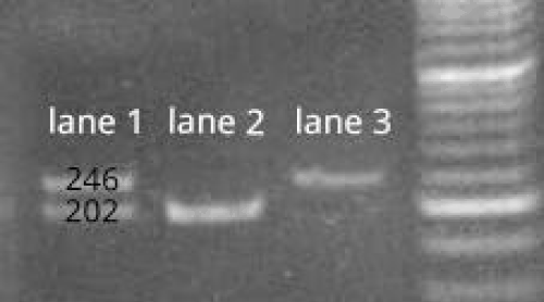 genotyping