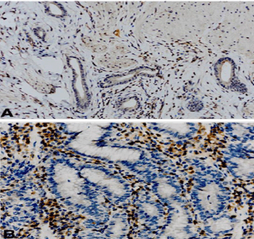 Immunohistochemical