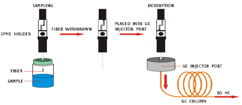 chromatography