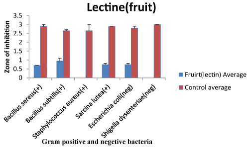 bacterial