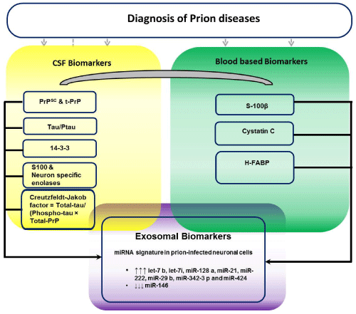 Diagnosis