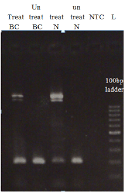 methylation