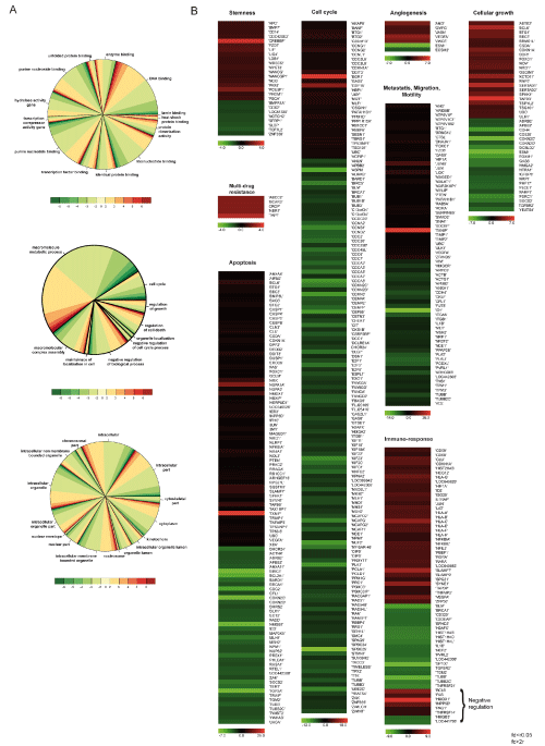 Gene Ontology Pie Chart