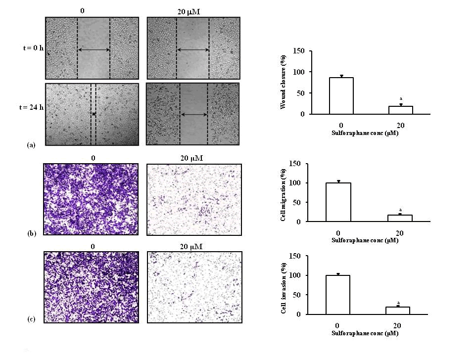 Sulforaphane