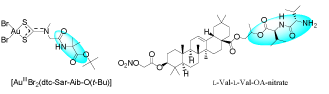 Peptide