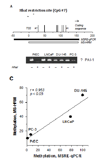 Methylation