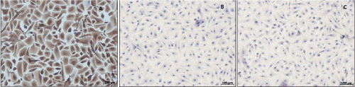 Immunocytochemical