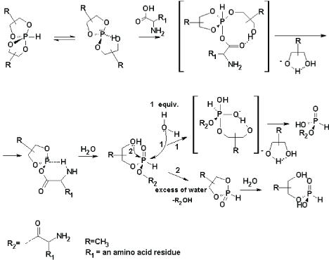 intramolecular