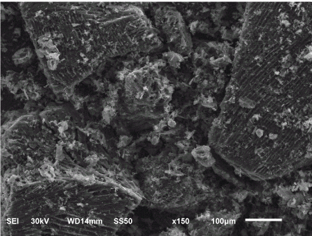 micrographs