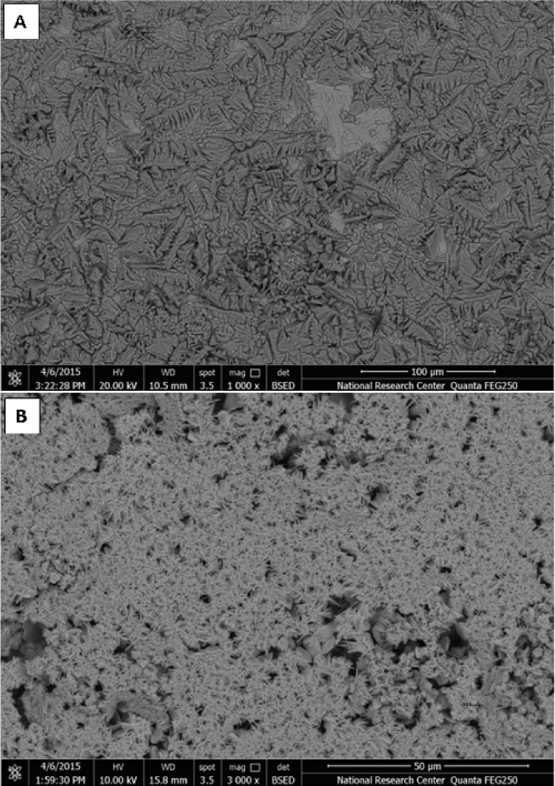 micrographs