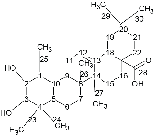 Maslinic