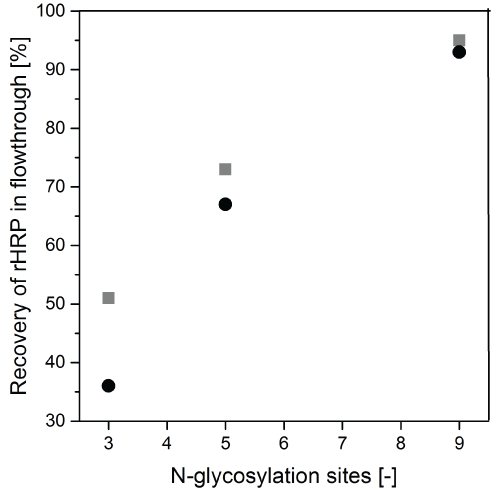 glycosylation