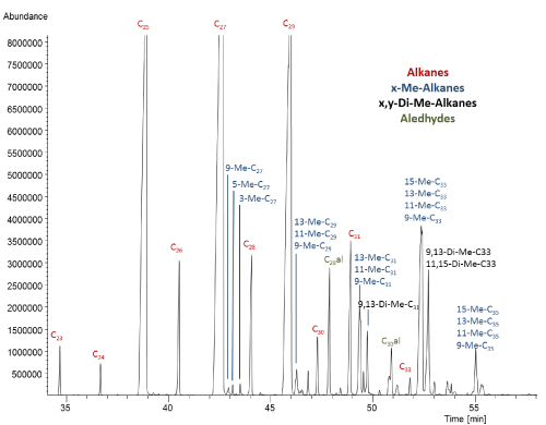 Chromatogram