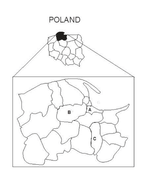 Location