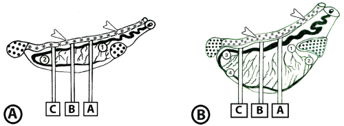 blocks