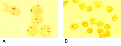 Nuclei