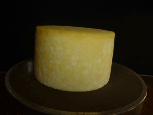  A Ras cheese