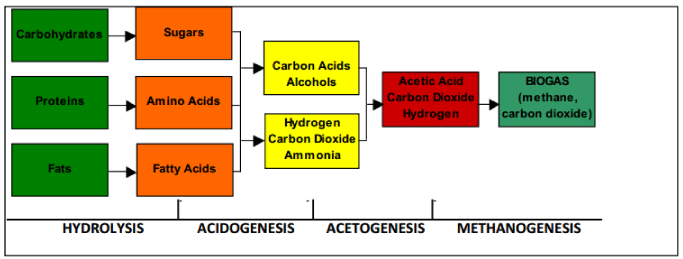 Anaerobic
