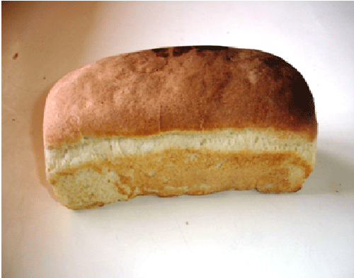Bread