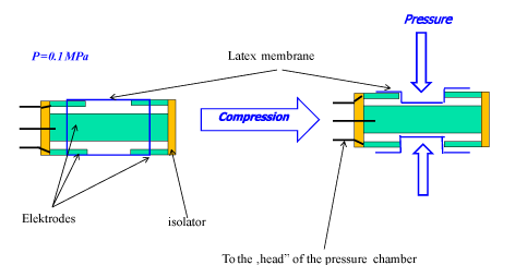 simultaneous HPP and PEF