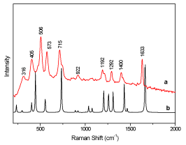  Raman spectrum