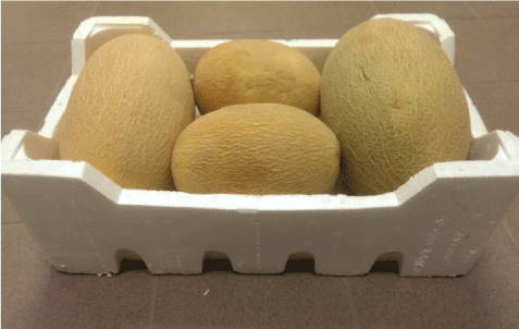 pre-cooling cantaloupe