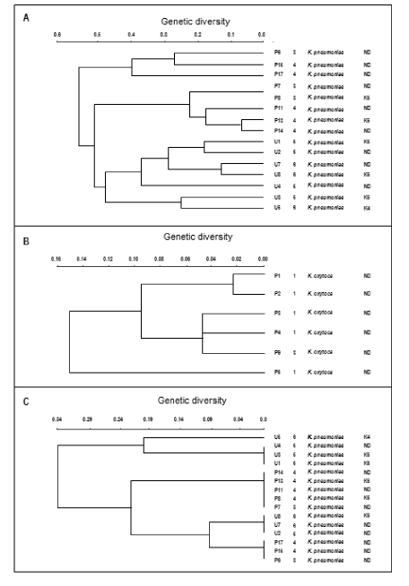 Dendrograms