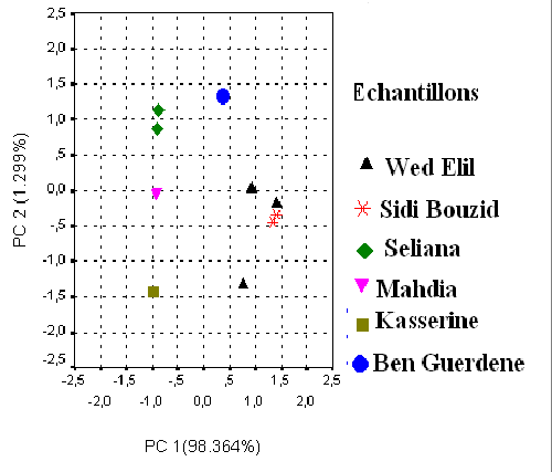 PCA plot