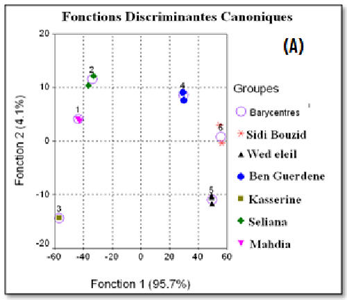 DFA plot
