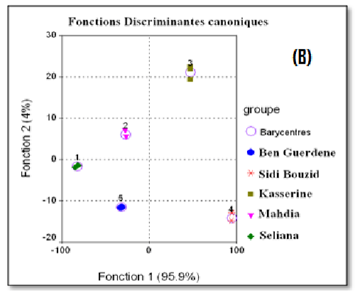 DFA plot
