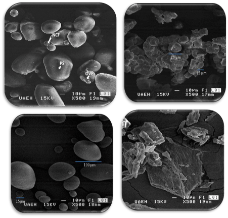 micrographs