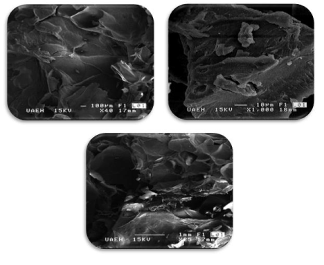 micrographs