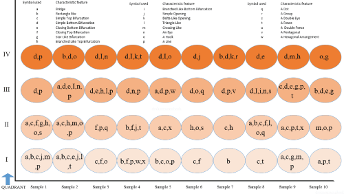 Distribution