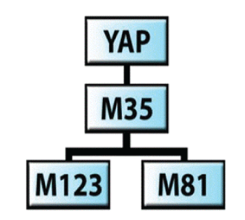 Hierarchy