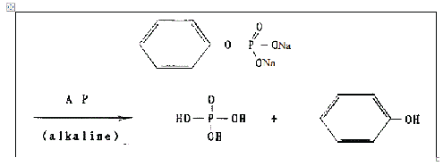 phosphotase