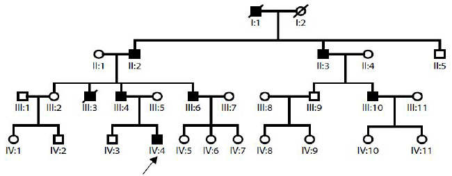 Pedigree