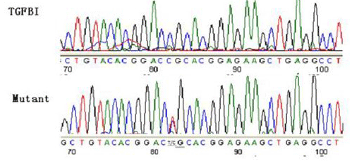 Sequencing