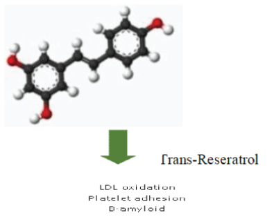 Resveratrol