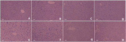 histopathological
