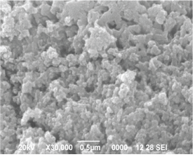 SEM image